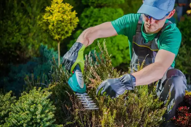 landscaping services Pilot Knob